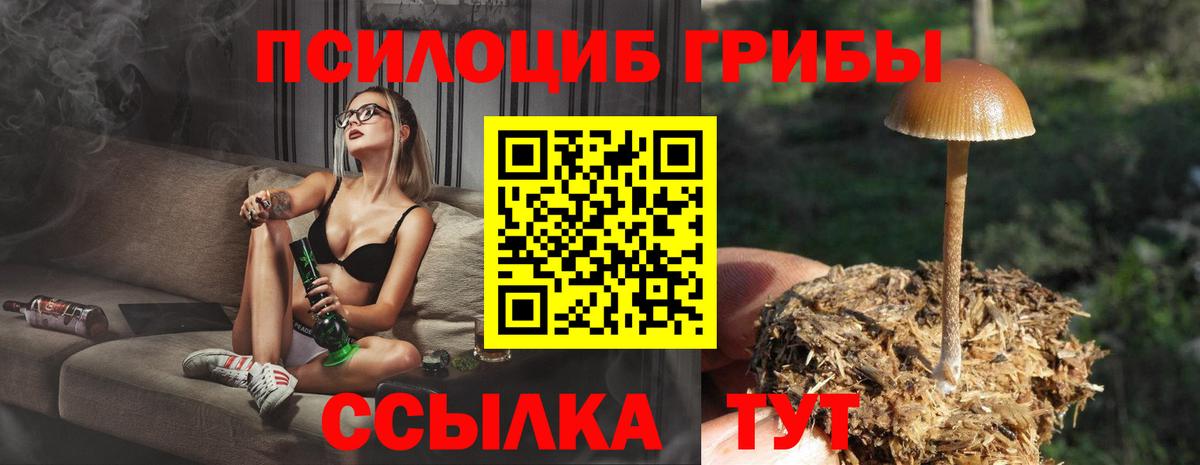 Псилоцибиновые грибы мицелий Каменск-Шахтинский
